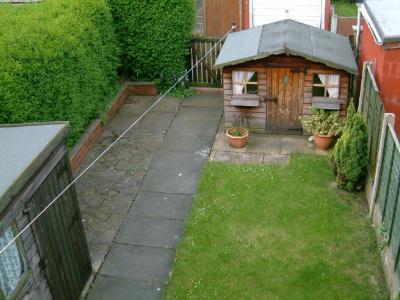 Picture 11